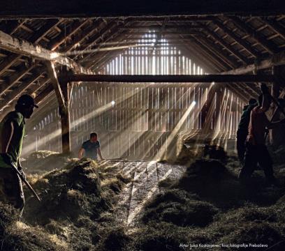 Maj - Luka Kostanjevec